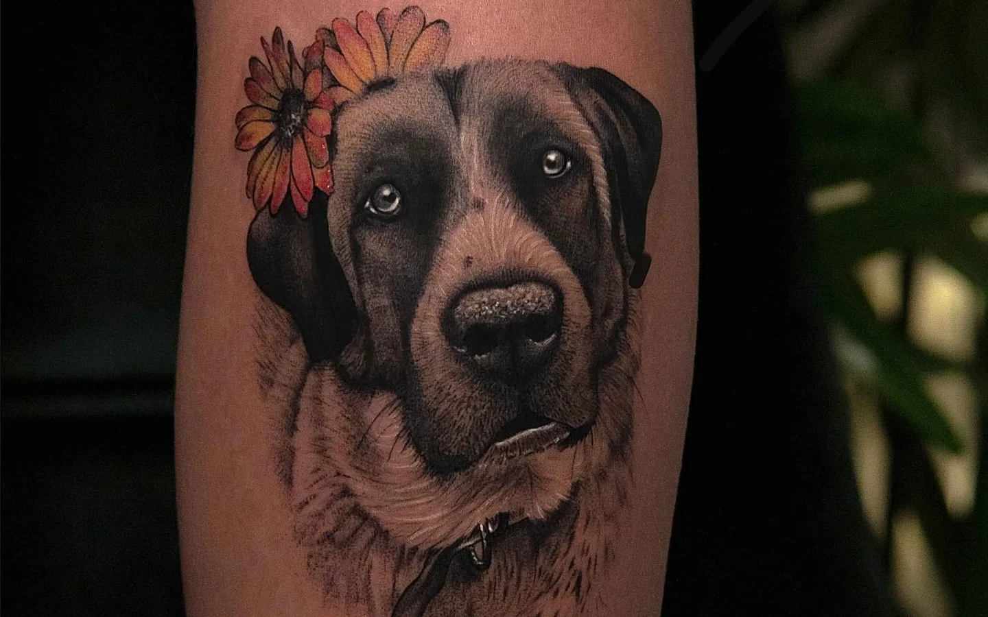 Yass Tattoo website